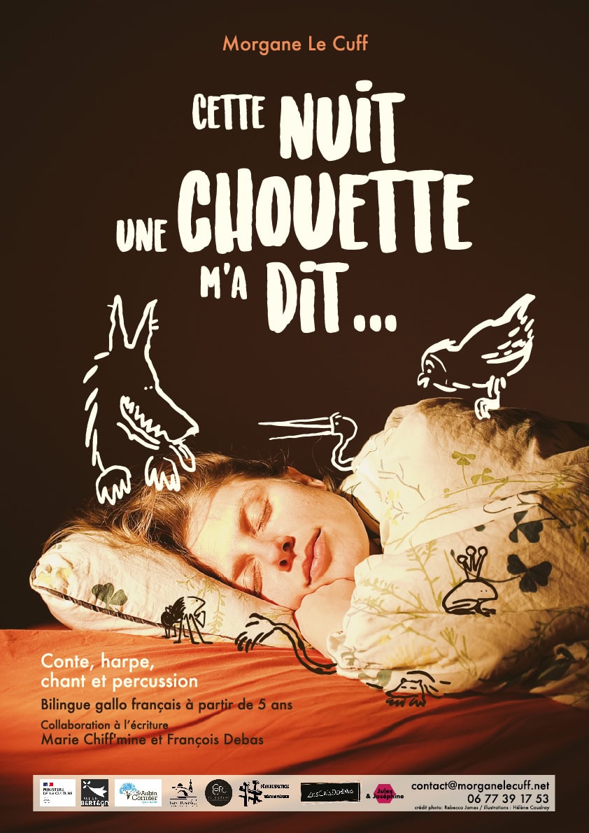 affichea3 cette nuit une chouette ma dit dodo web